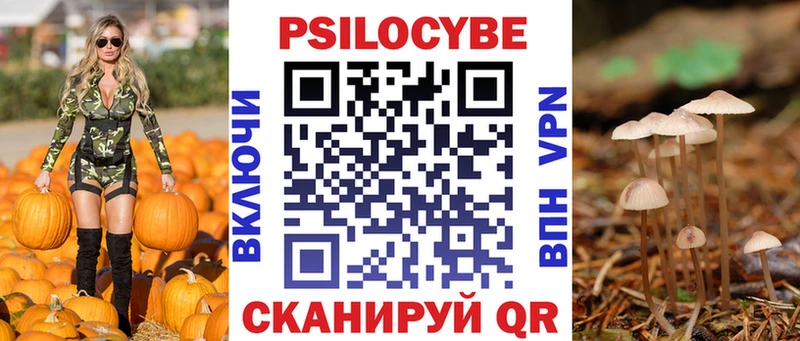 где можно купить наркотик  блэк спрут зеркало  Галлюциногенные грибы Psilocybe  Звенигово 